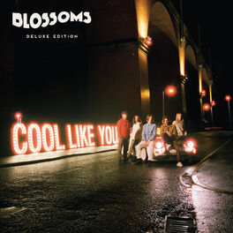 Album cover of Cool Like You (Deluxe)
