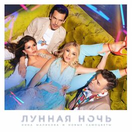 Album cover of Лунная ночь