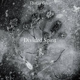 Album cover of Divided Spirit
