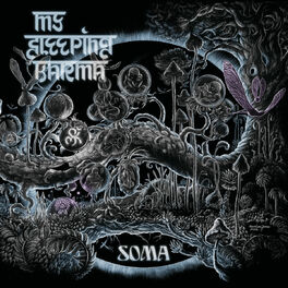 Album cover of Soma