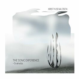 Album cover of The Sonic Experience - Snøhetta