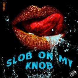 Album cover of Slob on my knob