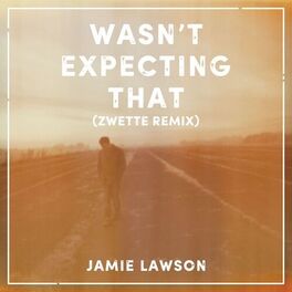 Album cover of Wasn't Expecting That (Zwette Remix)