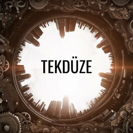 Album cover of Tekdüze