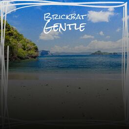 Album cover of Brickbat Gentle