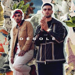 Album cover of Désolé