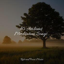 Album cover of 40 Ambient Meditation Songs