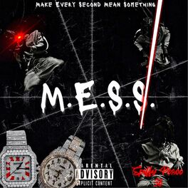Album cover of M.E.S.S.