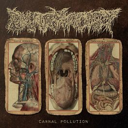 Album cover of Carnal Pollution