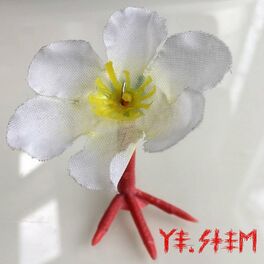Album picture of Ye.stem