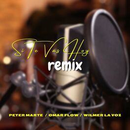 Album cover of Si Te Vas Hoy (Remix)