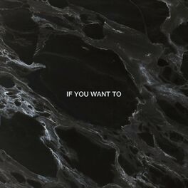 Album cover of If You Want To (Dimension Remix)