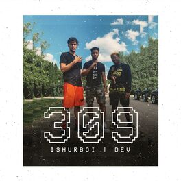 Album cover of 309 (feat. Dev)