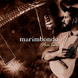 Album cover of Marimbondo