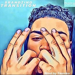 Album cover of Transition