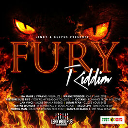Album cover of Lenky & Bulpus Presents Fury Riddim