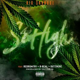 Album cover of So High