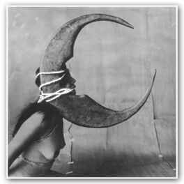 Album cover of Moonlover