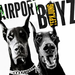 Album cover of Airportboyz