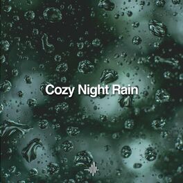 Album cover of Cozy Night Rain White Noise Sounds for Sleep