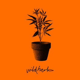 Album cover of Wild Herb
