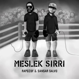 Album cover of Meslek Sırrı