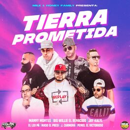 Album cover of Tierra Prometida (feat. Peniel El Victorioso, Jay Kalyl, Manny Montes, J Carmona, El Leo Pa & Maso El Presidente)