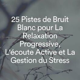 Album cover of 25 Pistes de Bruit Blanc pour La Relaxation Progressive, L'écoute Active et La Gestion du Stress