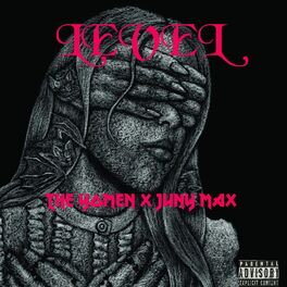 Album cover of Level