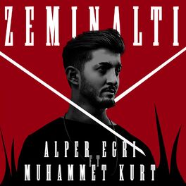 Album cover of Zeminaltı