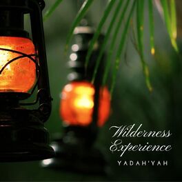 Album cover of Wilderness Experience