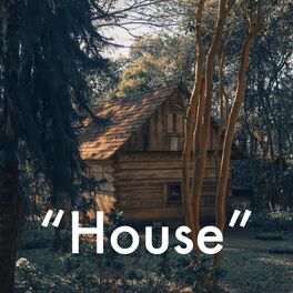 Album cover of Lofi House,
