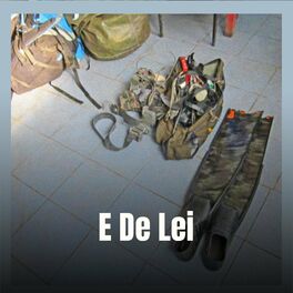 Album cover of E De Lei