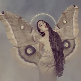 Album cover of Kingdom of Disturb