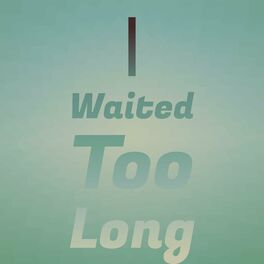 Album cover of I Waited Too Long