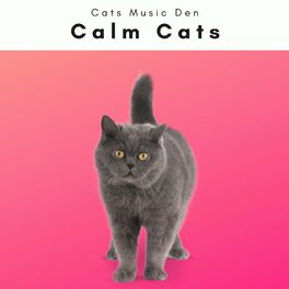 Album cover of 4 Calm Cats