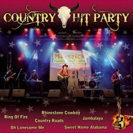 Album cover of Country Hit Party