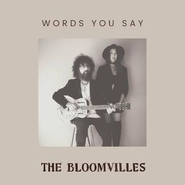 Album cover of Words You Say