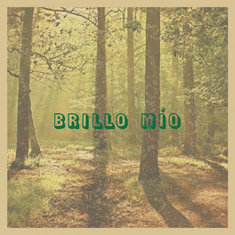 Album cover of Brillo Mío (En Directo Desde El Desierto)