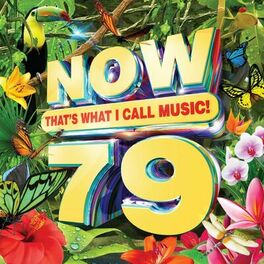 Album cover of NOW That's What I Call Music, Vol. 79