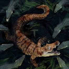 Album cover of Everglades