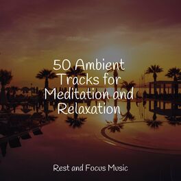 Album cover of 50 Ambient Tracks for Meditation and Relaxation