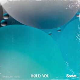 Album cover of Hold You