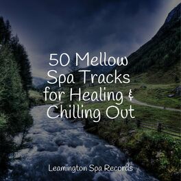 Album cover of 50 Mellow Spa Tracks for Healing & Chilling Out