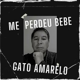 Album cover of Me Perdeu Bebe