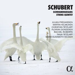 Album cover of Schubert: Schwanengesang & String Quintet