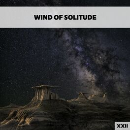Album cover of Wind Of Solitude XXII