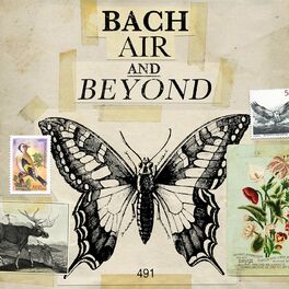 Album cover of Bach: Air and Beyond