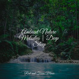 Album cover of Ambient Nature Melodies | Deep Sleep
