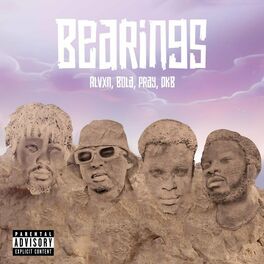 Album cover of Bearings